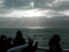 DSCN3884