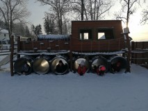 IMG_20220110_145906