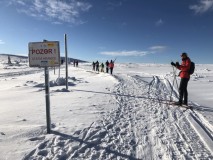 IMG_3788