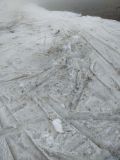IMG_20230108_134040