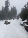 IMG20250227111323