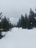 IMG20250227113708