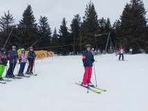 IMG20250223105822