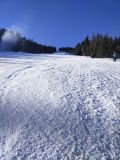 IMG_20240109_123847