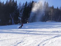 IMG_20240109_124119