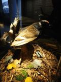 IMG_20240110_132931