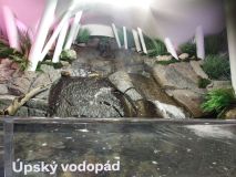 IMG_20240110_133310