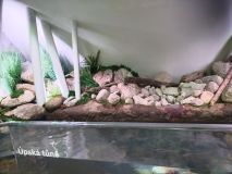 IMG_20240110_133317