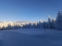 IMG_20260105_092652
