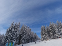IMG_20260106_114627