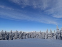 IMG_20260106_122905