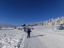 IMG_20260107_110423