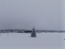 IMG_20260107_132237
