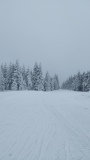 IMG_20260109_135609