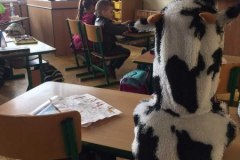 stažený soubor (21)