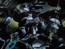 PHOTO-2026-01-30-10-29-45-4