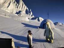 PHOTO-2026-01-30-10-29-46