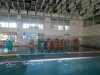 DSCN6650