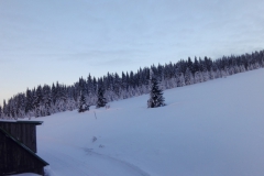 IMG_20180213_072845