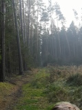 IMG_20221112_135615