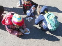 DSCN3879