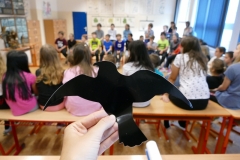 P2850427