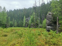 IMG_20230606_120022