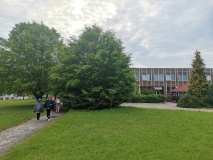 IMG_20230606_184355