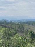 thumbnail_IMG_0334