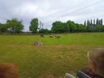 IMG20230607113319