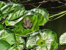 IMG20230607135509