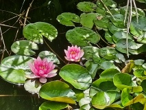 IMG20230607135513