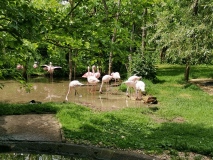 IMG_20230607_135653