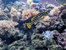IMG_20230607_140029