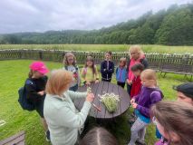IMG-20240604-WA0021