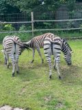 IMG-20240606-WA0014