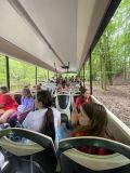 IMG-20240606-WA0015