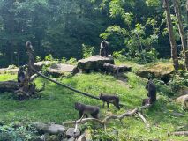 IMG-20240606-WA0016
