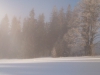 IMG_20150211_093526