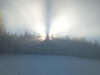 IMG_20150211_094434