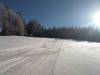 IMG_20150211_100536