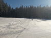 IMG_20150211_100601