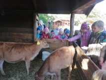 IMG-20231018-WA0001