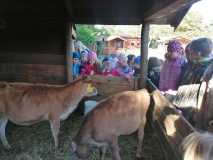 IMG-20231018-WA0002