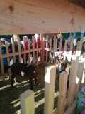 IMG-20231018-WA0003