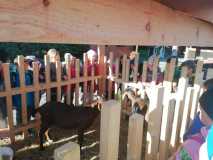 IMG-20231018-WA0004
