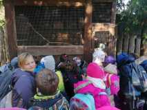 IMG-20231018-WA0005