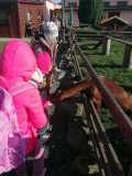 IMG-20231018-WA0006