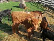 IMG-20231018-WA0008