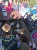 IMG-20231018-WA0009